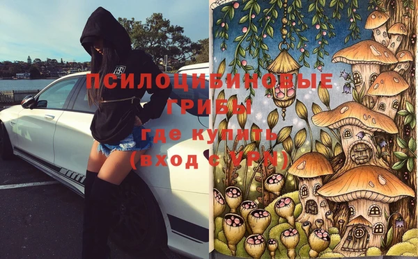 таблы Алексеевка