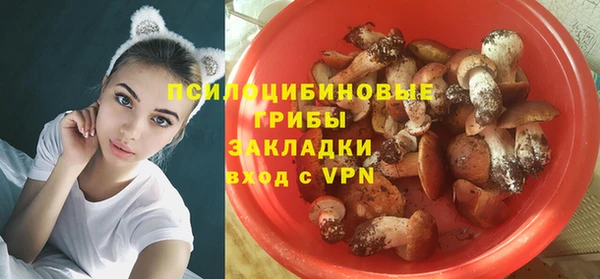 MESCALINE Алзамай